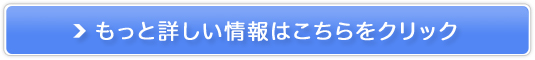 CN̏ォg܂etyACbVz
̔TCg